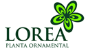 Lorea