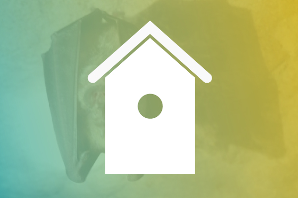 Observatorio de Aves