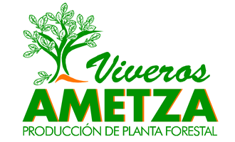 Viveros Ametza