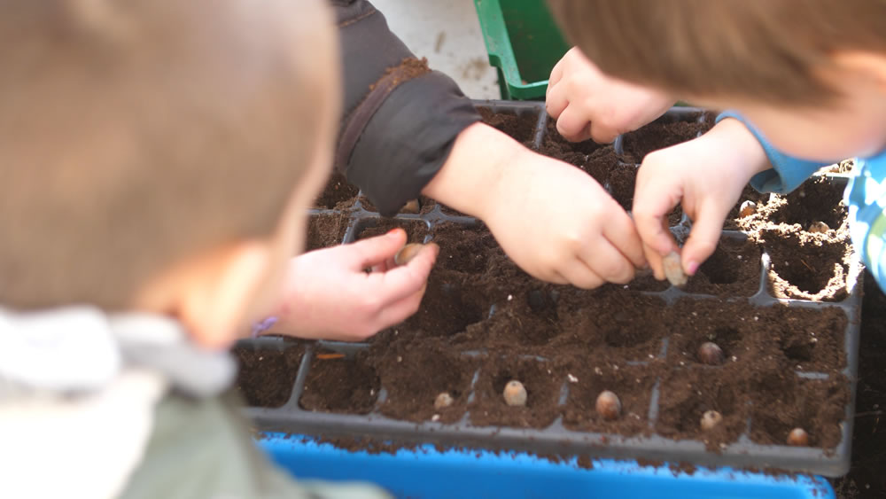 �Qu� es Oinez Baoa?